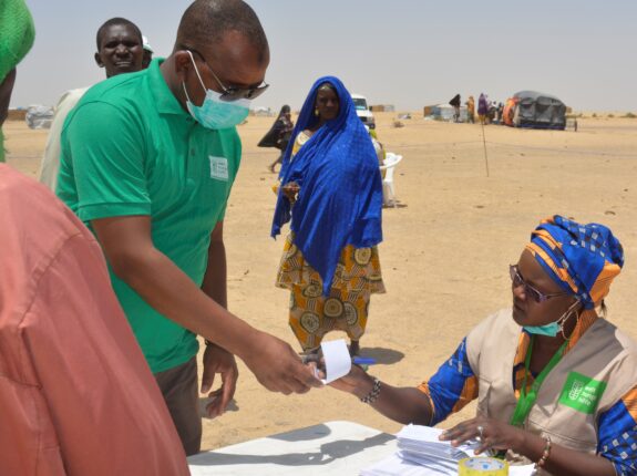 Support for the resilience of vulnerable refugee, displaced and Diffa host populations