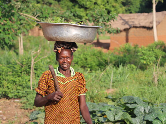 From Seeds to Cattle: The Path to a Hopeful Harvest