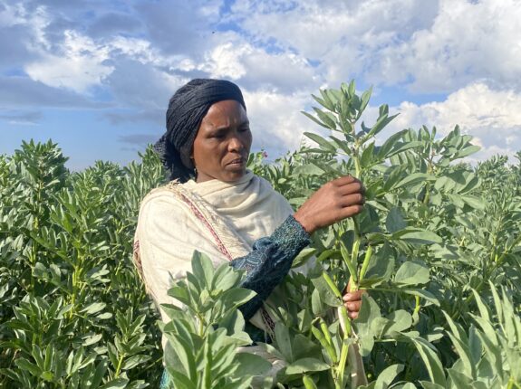 From scarcity to abundance: how climate-smart agricultural practice transformed communities in North Gondar, Ethiopia
